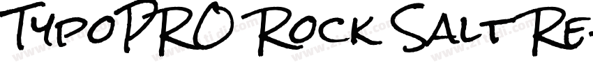 TypoPRO Rock Salt Re字体转换